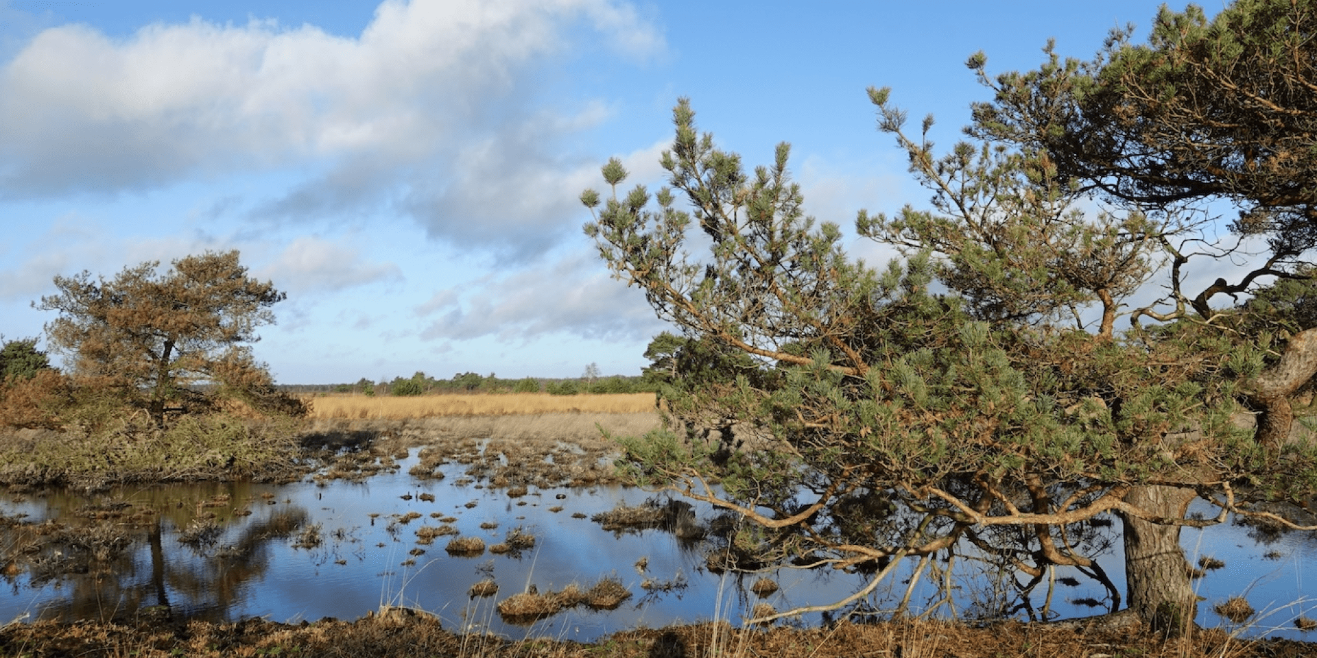 Buitencentrum De Pelen in Ospel