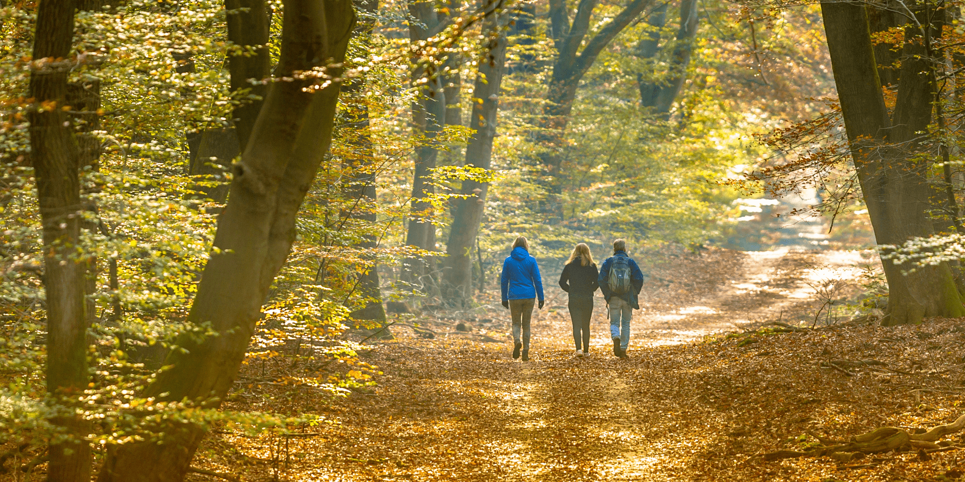 Bospartizanenwandeling