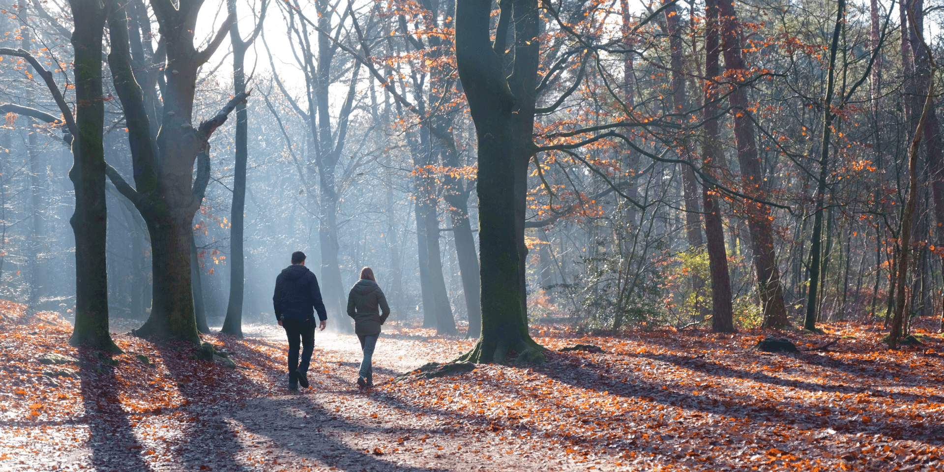 Herfstwandeling door het bos
