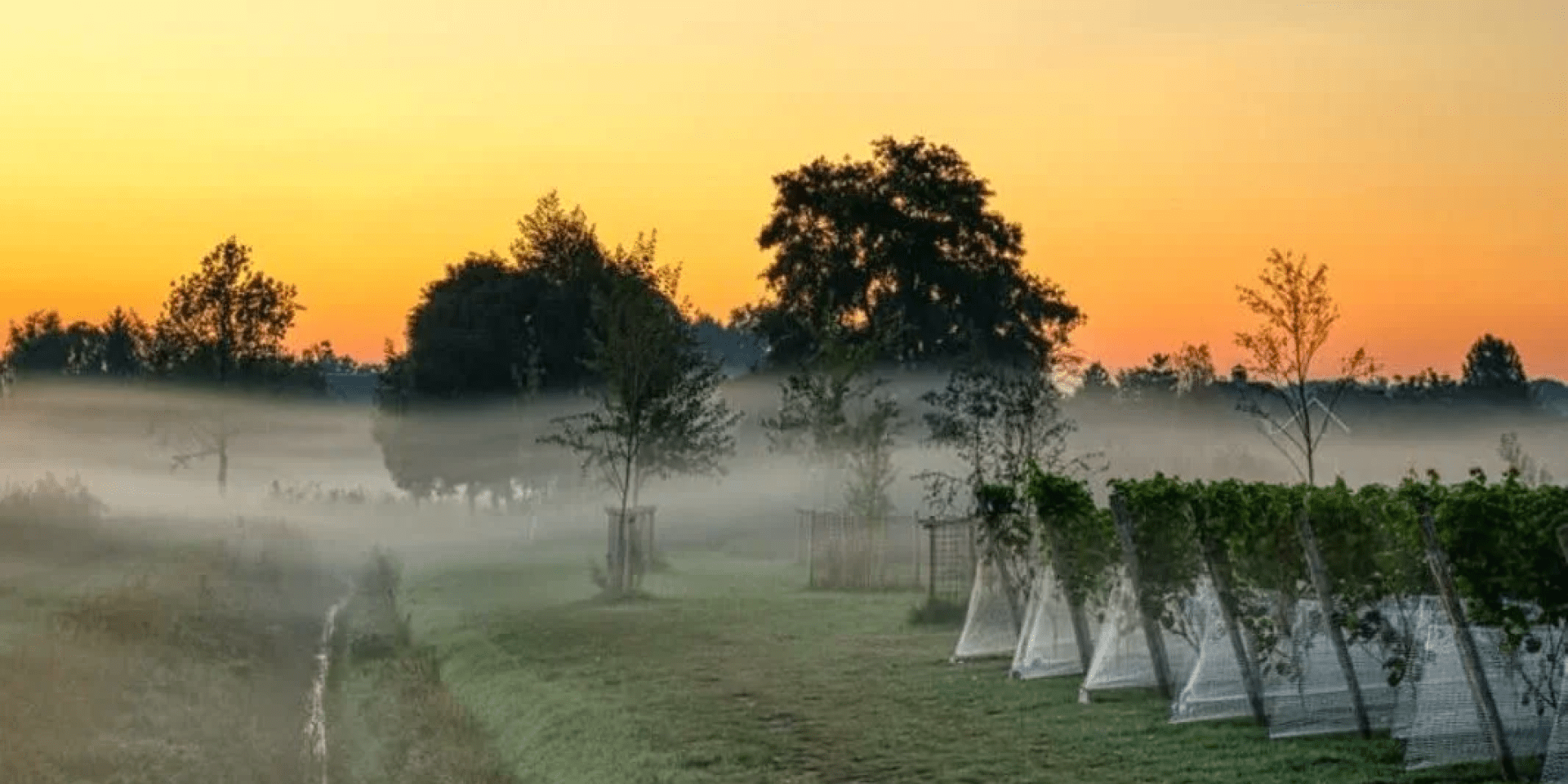 Loeren bij de Boeren 