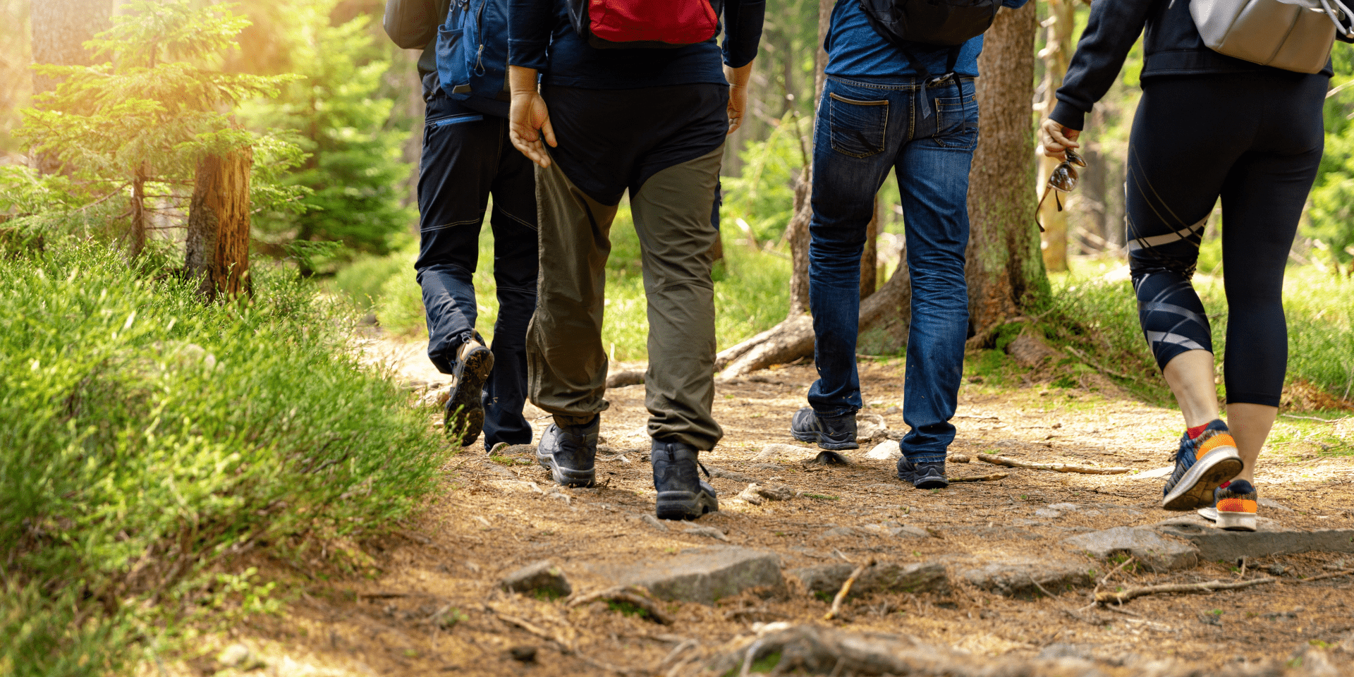 Bospartizanenwandeling