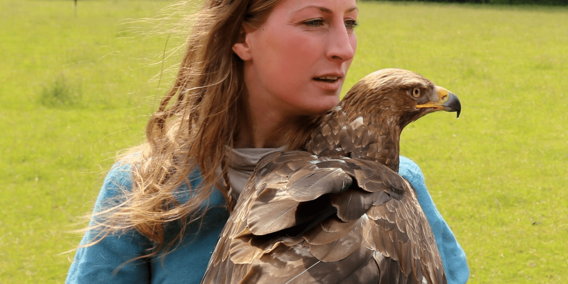 Roofvogelshow